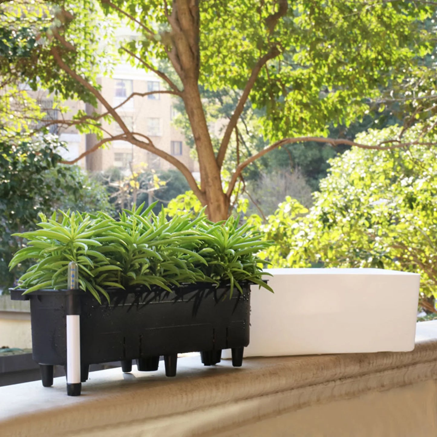 GoDesign SELF-WATERING REC PLANTER POT