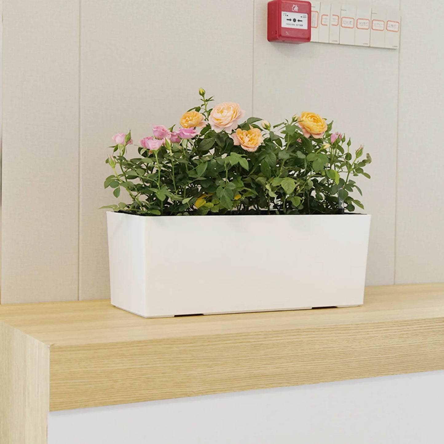 GoDesign SELF-WATERING REC PLANTER POT