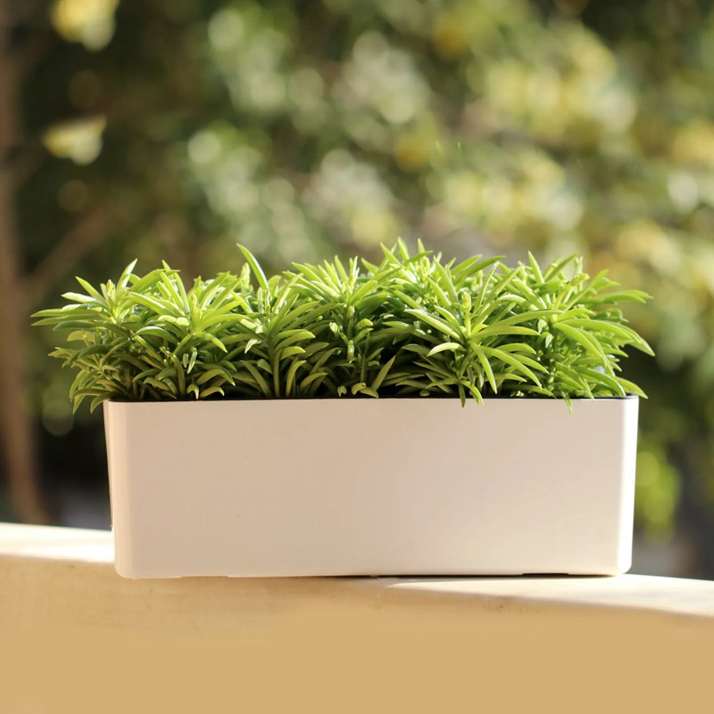 GoDesign SELF-WATERING REC PLANTER POT