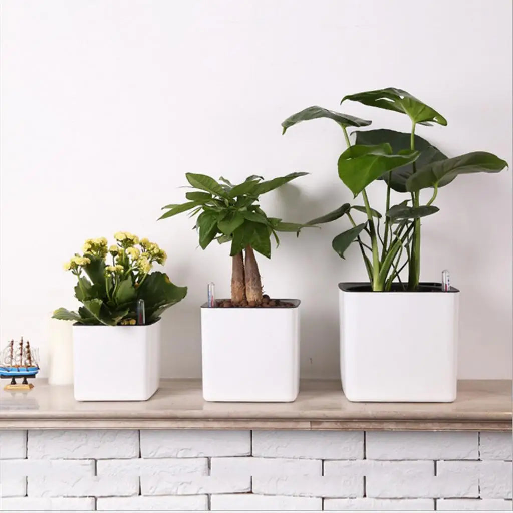 GoDesign SELF-WATERING SQUARE PLANTER