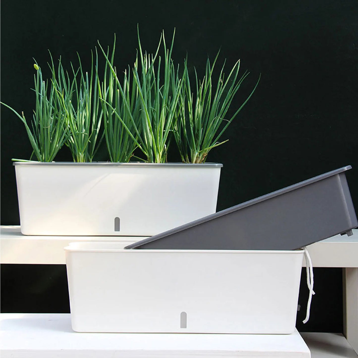 GoDesign REC SELF-WATERING PLANTER
