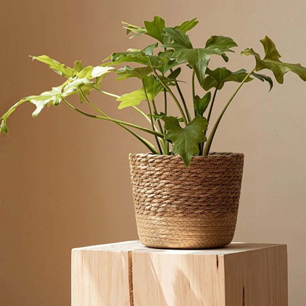 GoDesign ROUND PLANTER BASKET