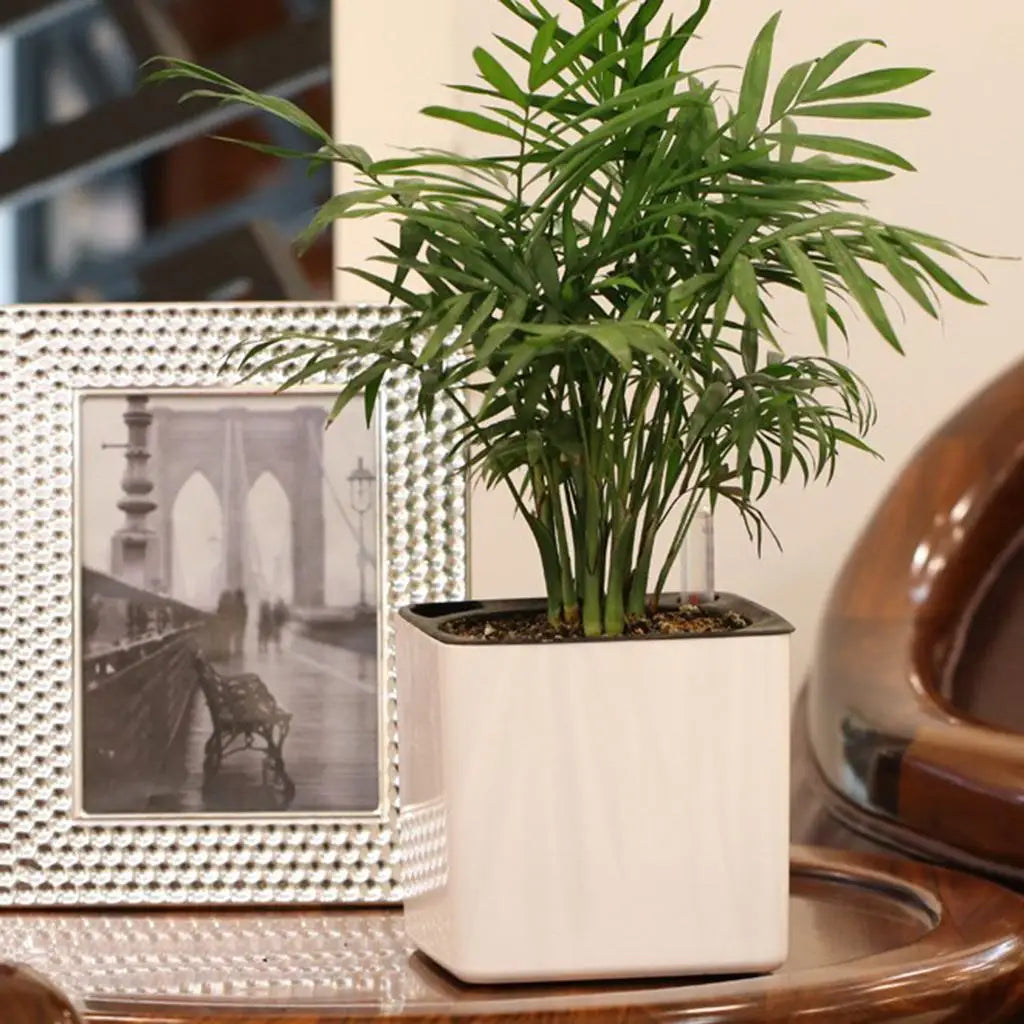GoDesign SELF-WATERING SQUARE PLANTER