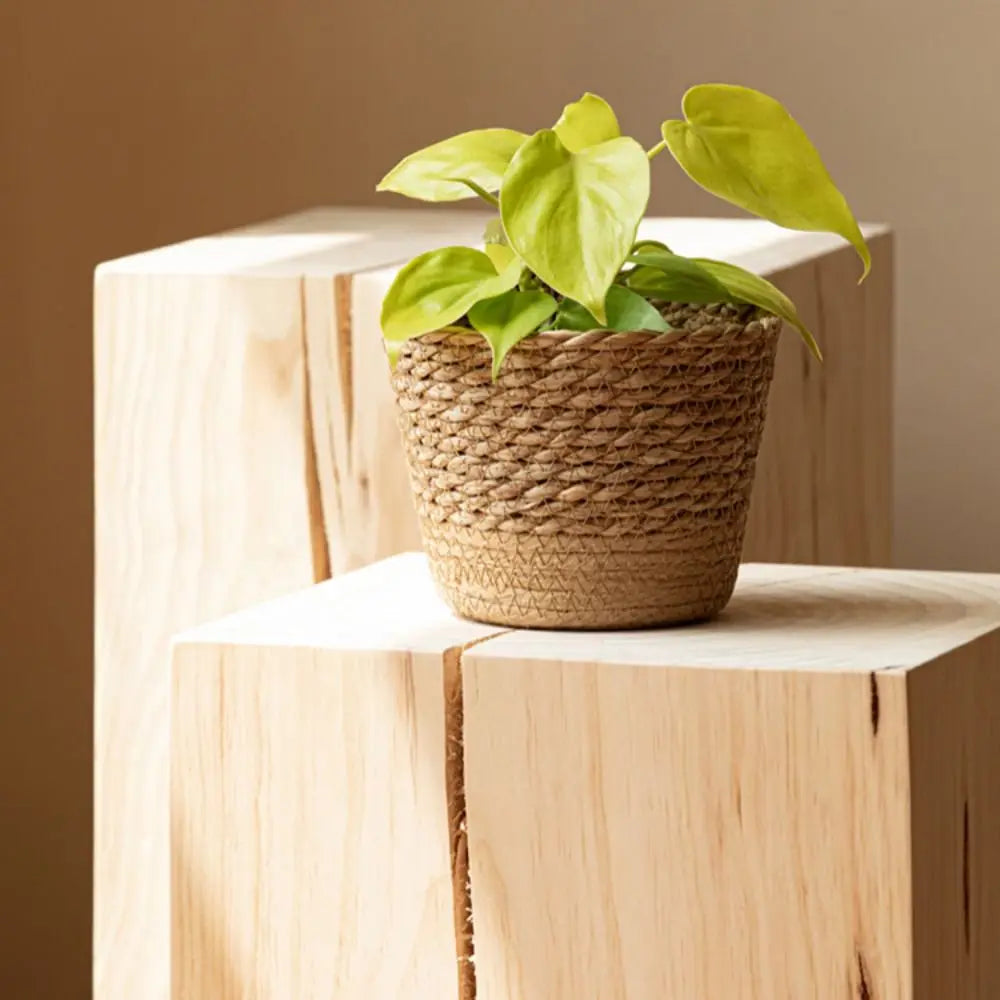GoDesign ROUND PLANTER BASKET