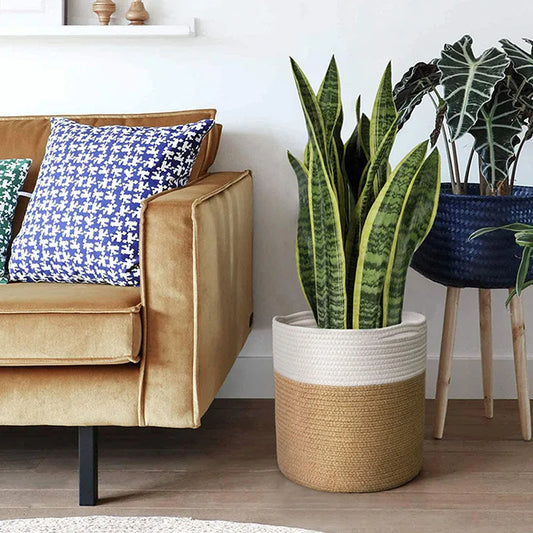 GoDesign ROUND PLANTER x STOREAGE BASKET